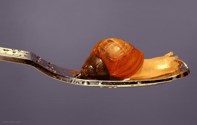 snail hyper realistic painting by youngsungkim