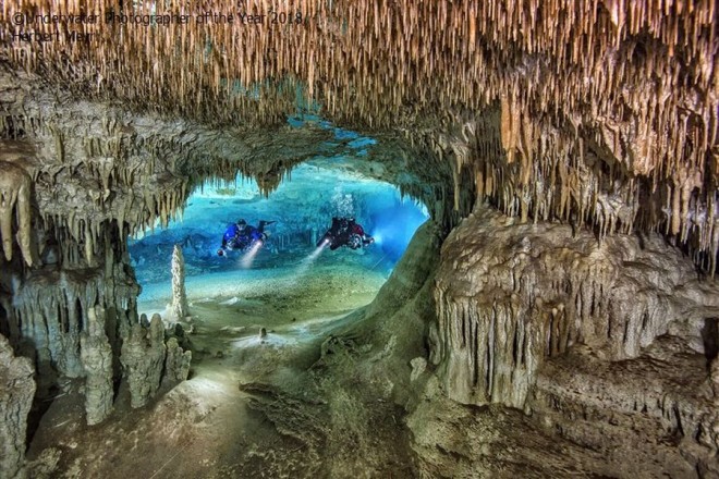 cenote nariz underwater photography