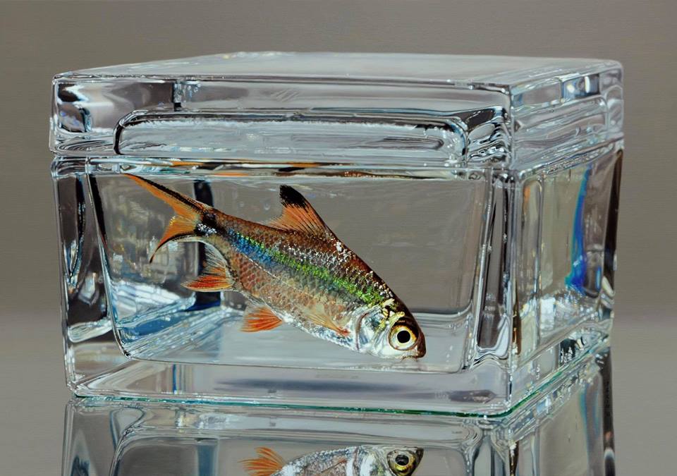 hyper realistic paintings fish by young sung kim