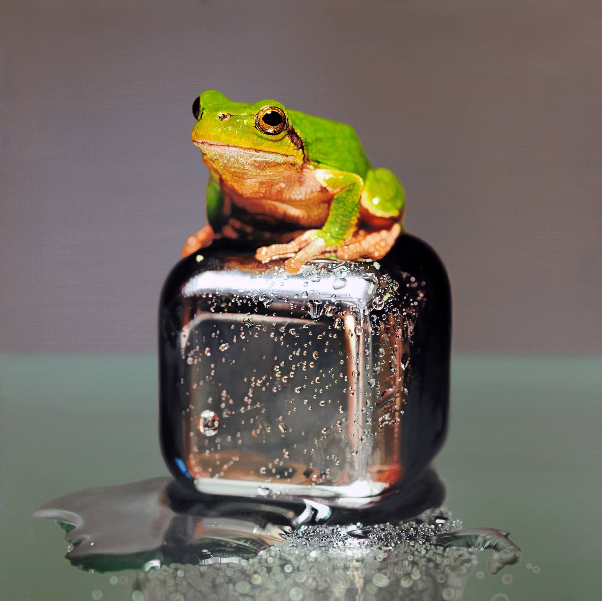 hyper realistic paintings frog