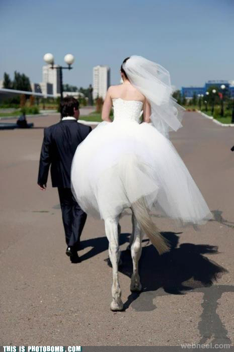 funny wedding marriage couples love photography