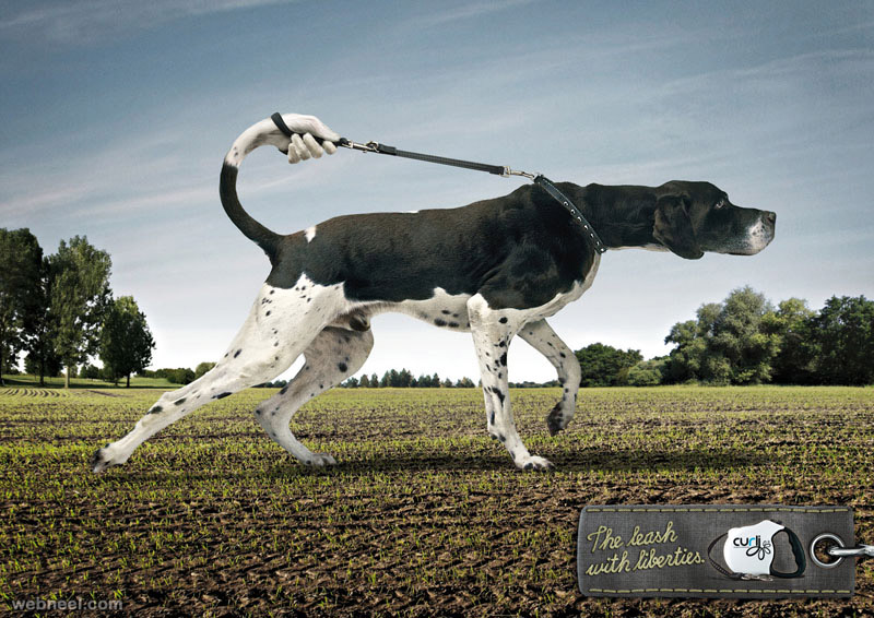 the leach with liberties animal ad