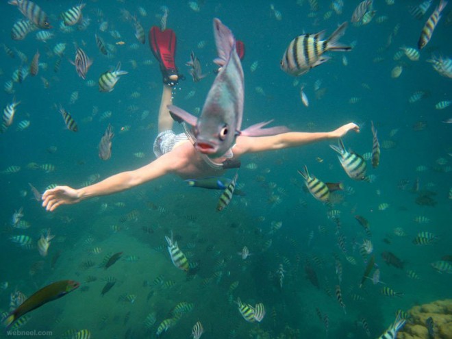snorkeler underwater thailand underwater photography