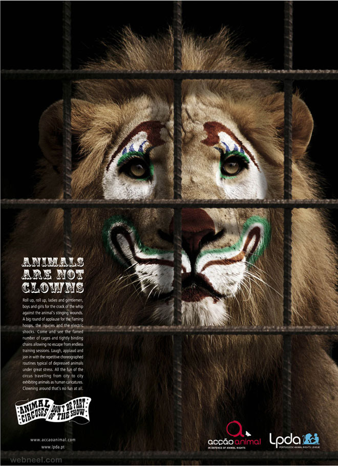 save animals zoo animal ad