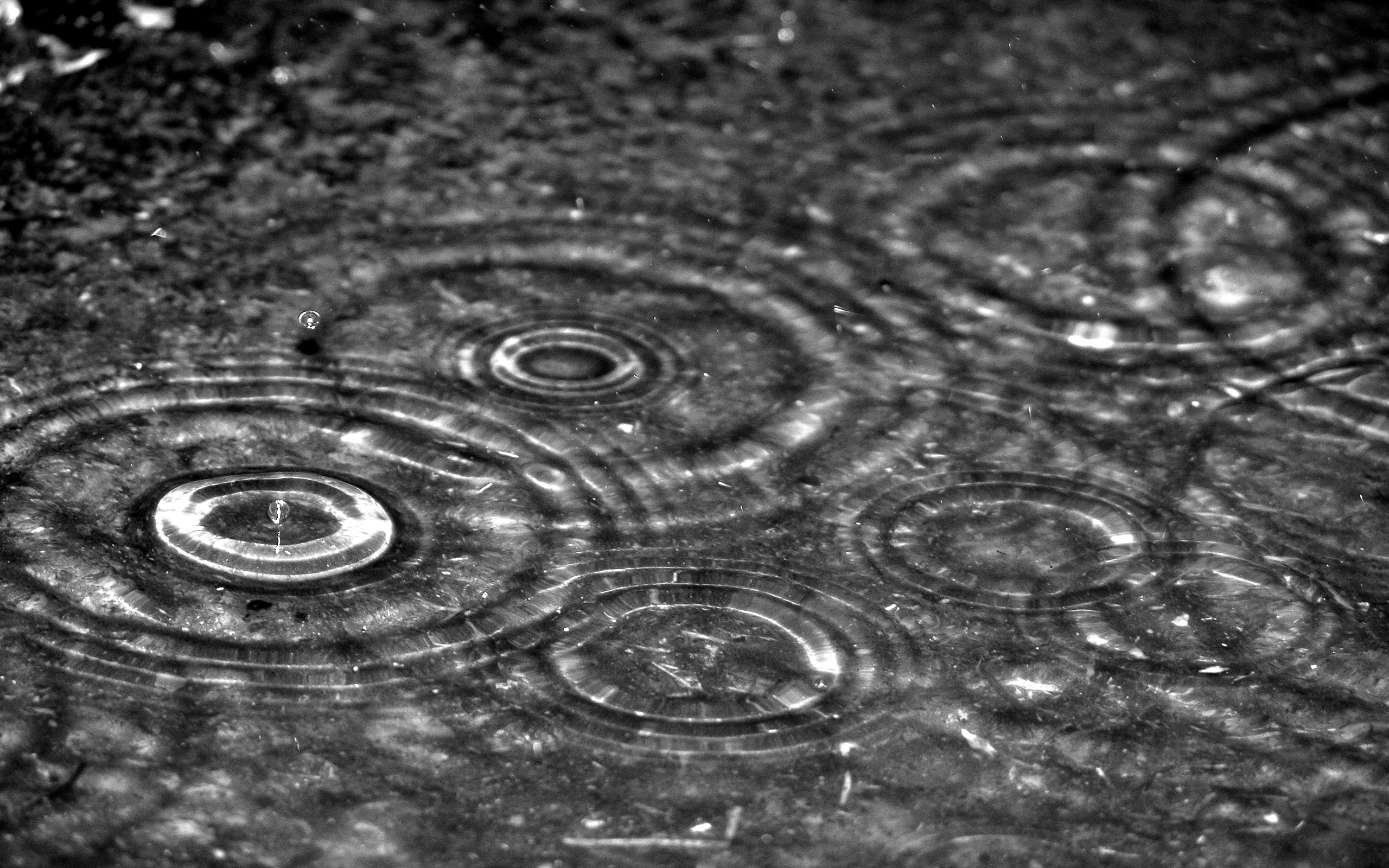 rain drops photography