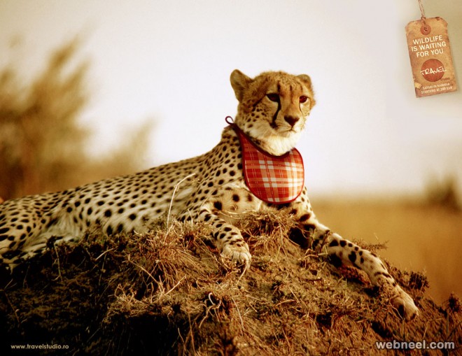 print ads animal leopard