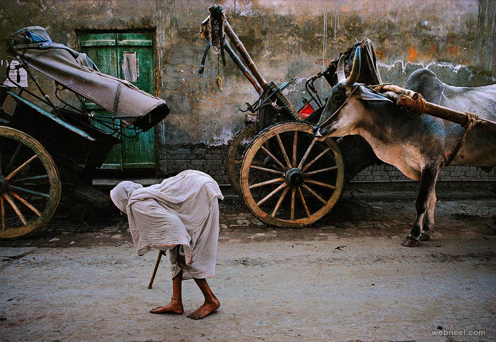 incredible india photography