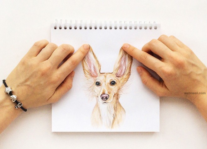 interactive illustration dog drawing idea by valerie susik