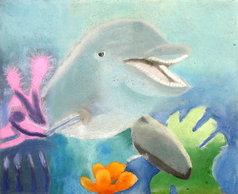 dolphin chalk art usa