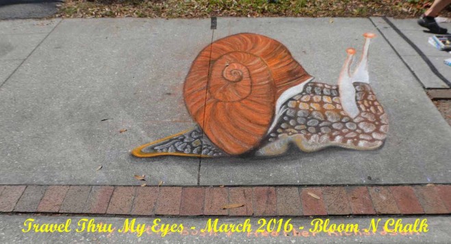snail chalk art festival