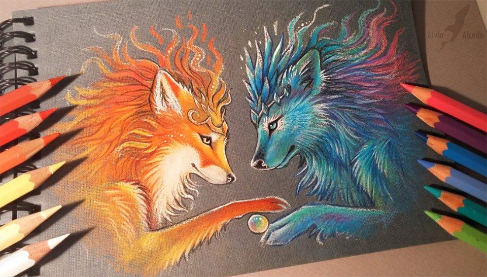 fox color pencil drawing