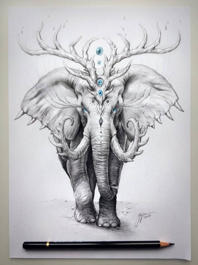 elephant drawing by jojoes art
