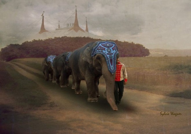 antiparos international photo festival