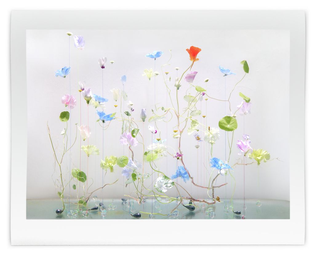 underwater ballet flower art installation by anne ten donkelaar