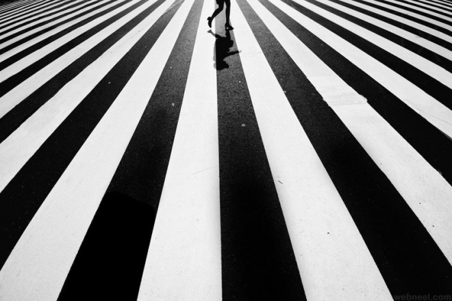 stripe black and white photography