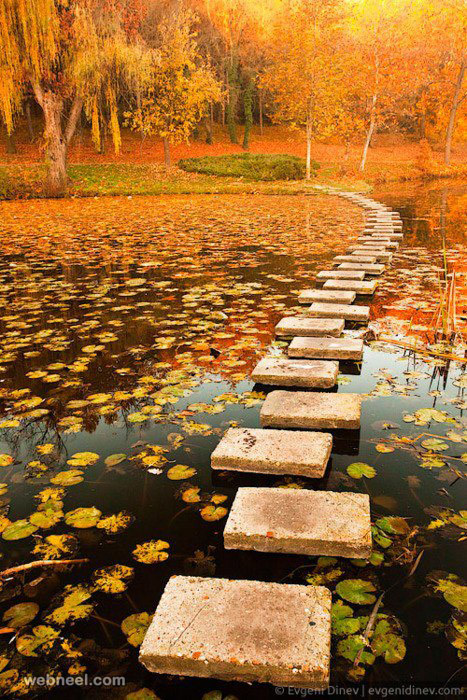 autumn walkway poland