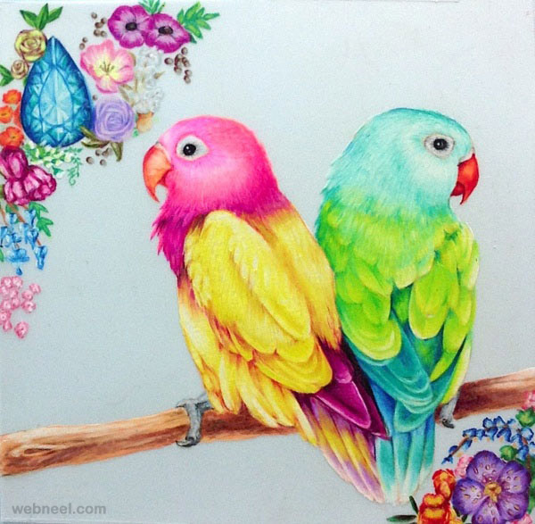 birds drawings