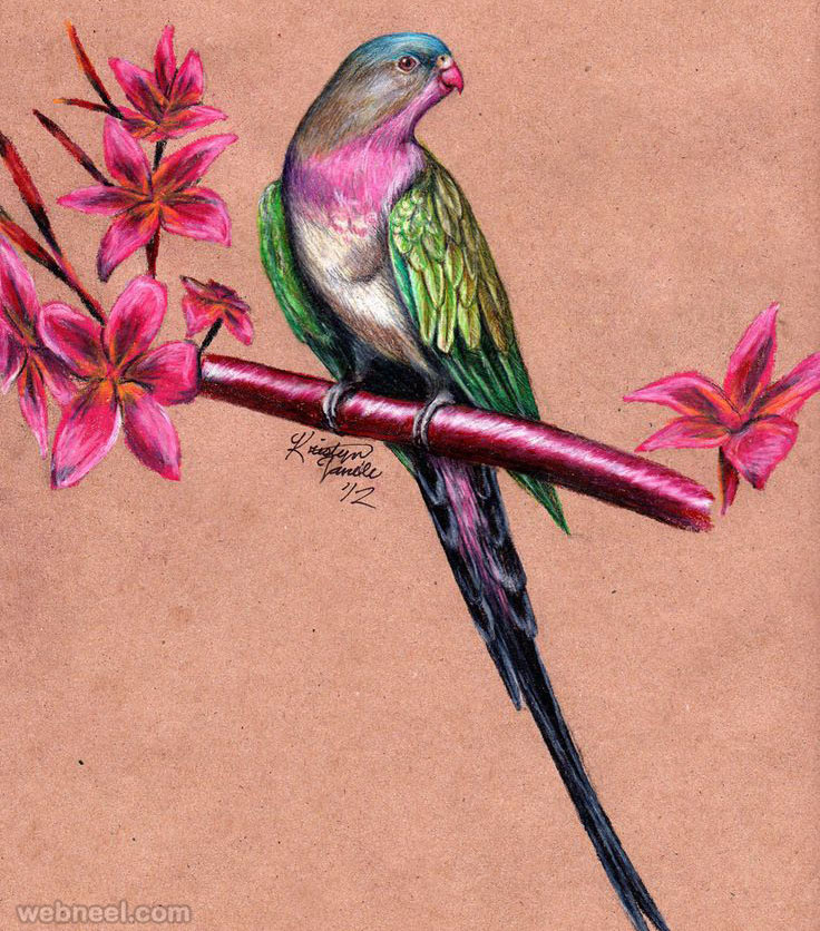 40 Beautiful Bird Drawings and Art works for your inspiration