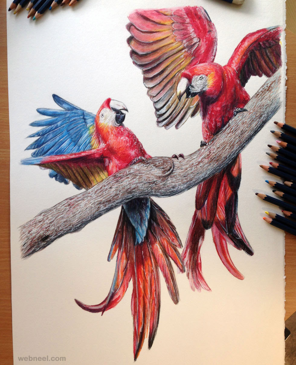 DesignArt Flying Birds Illustration On Canvas 3 Pieces Graphic Art | Wayfair
