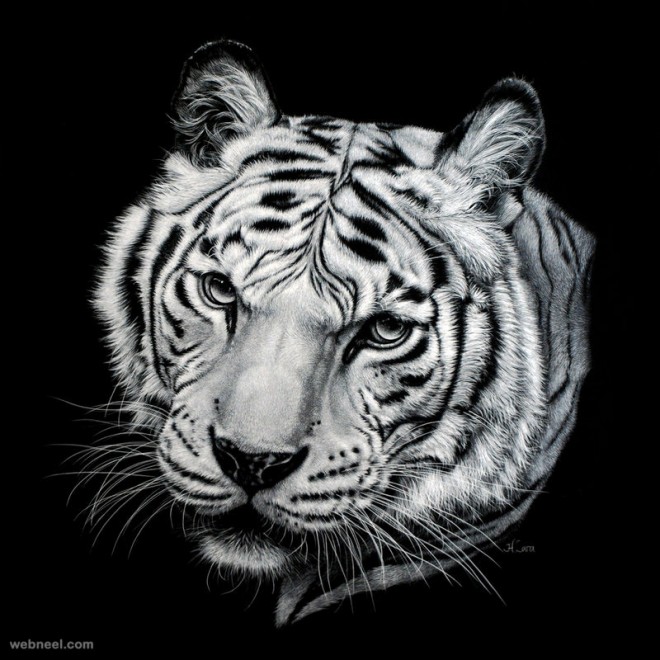 tiger painting by heather
