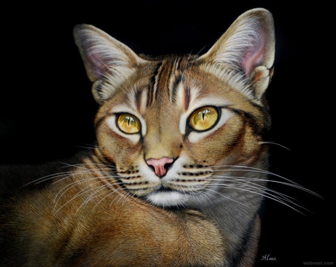 cat animal painting by heather