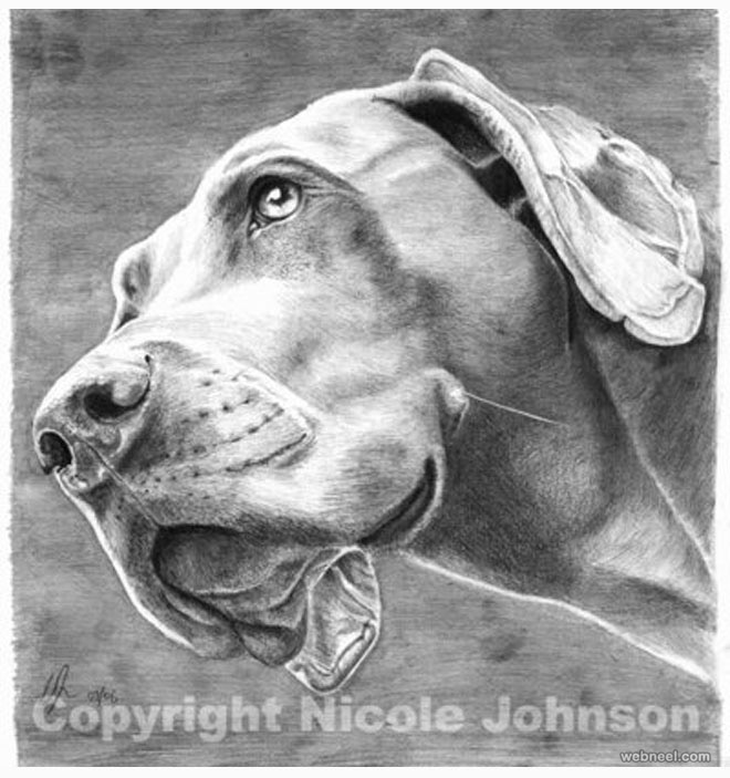 dog drawing by nicole johnson