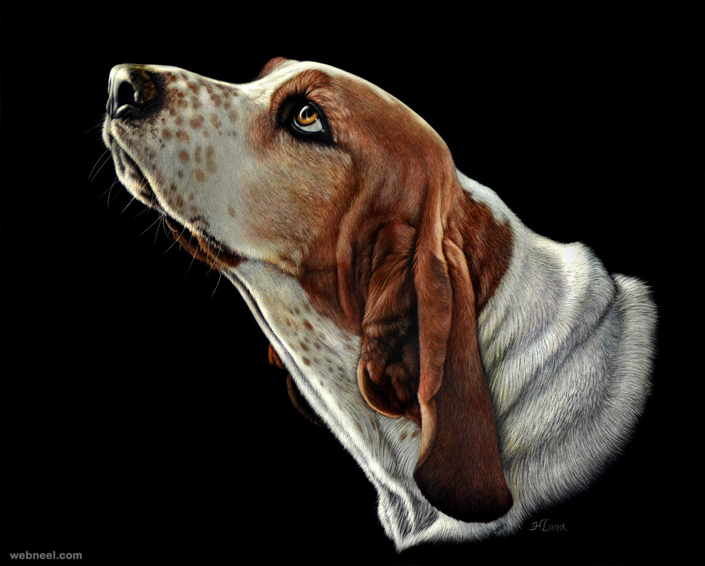 20 Beautiful and Realistic Animal Paintings by Heather Lara