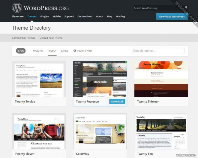most popular website wordpress
