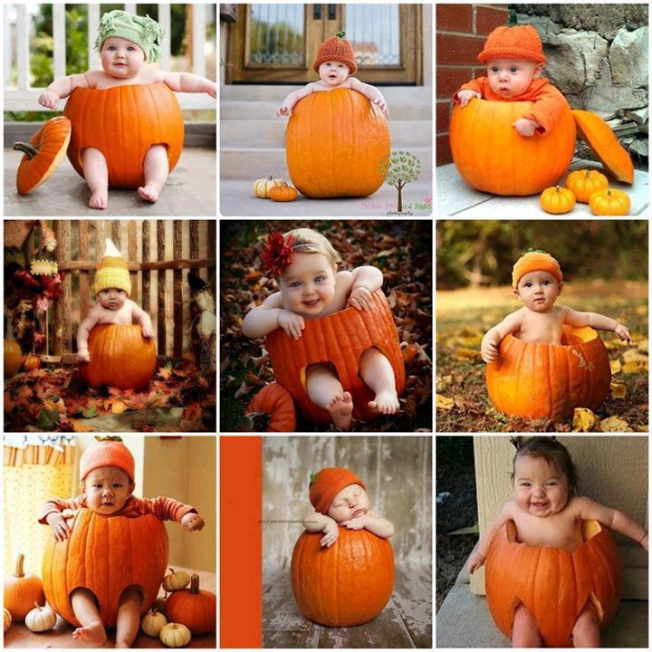 pumpkin baby photography ideas