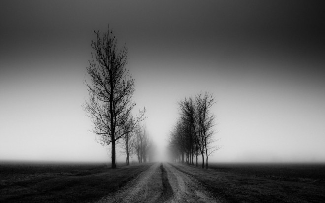 pathway black white photography