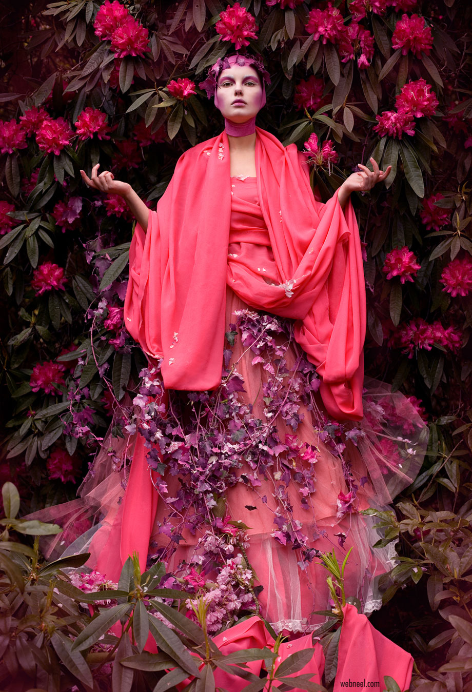 fantasy photography portrait the pink saint