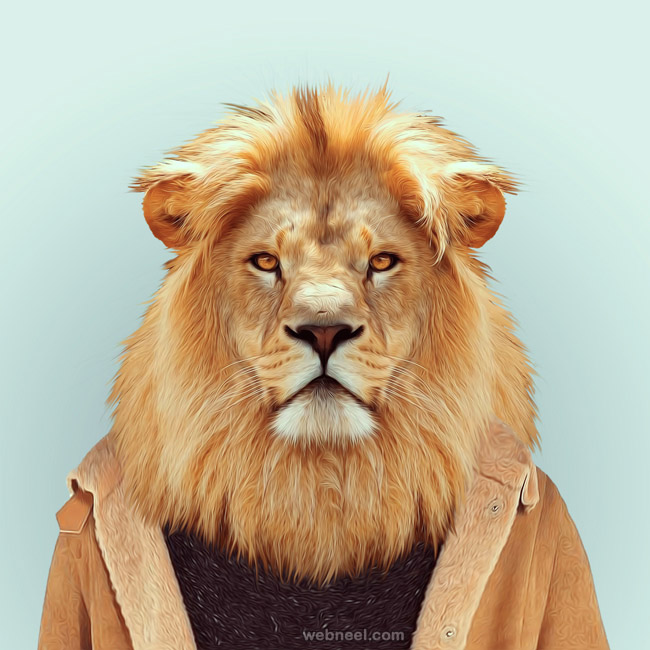 lion portrait photography