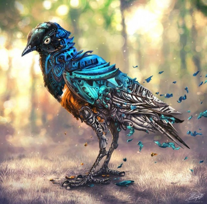 bird digital painting by rene campbell
