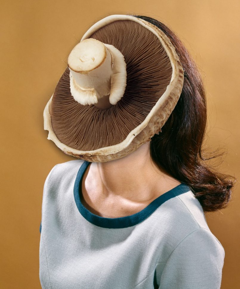 photo collage portrait mushroom