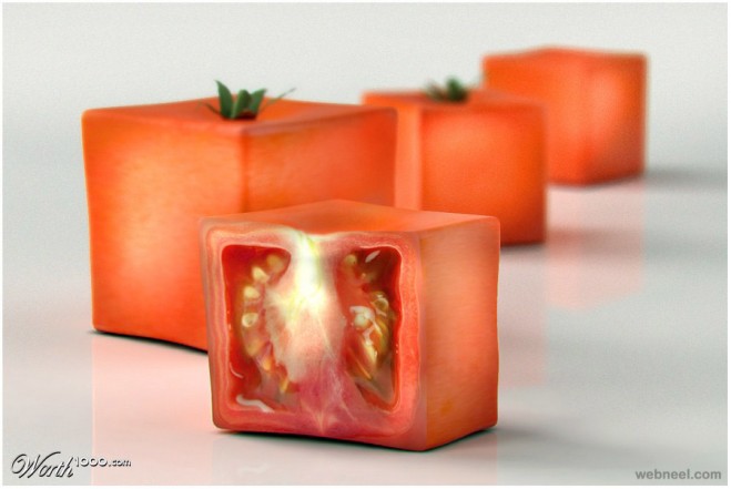 tomato cubism photo manipulation square