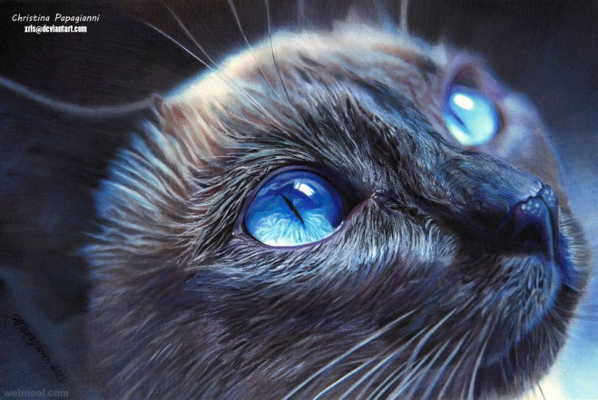 cat hyper realistic color pencil drawing by christina papagianni