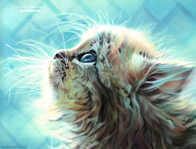 cat hyper realistic color pencil drawing by christina papagianni