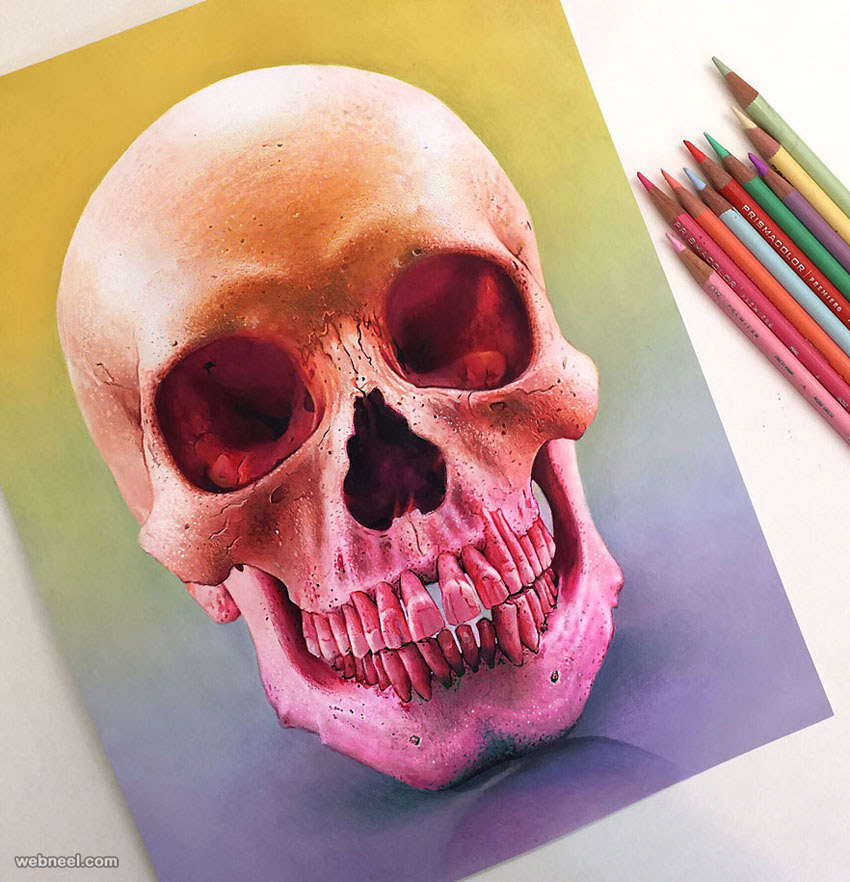 skull color pencil drawing by morgan davidson