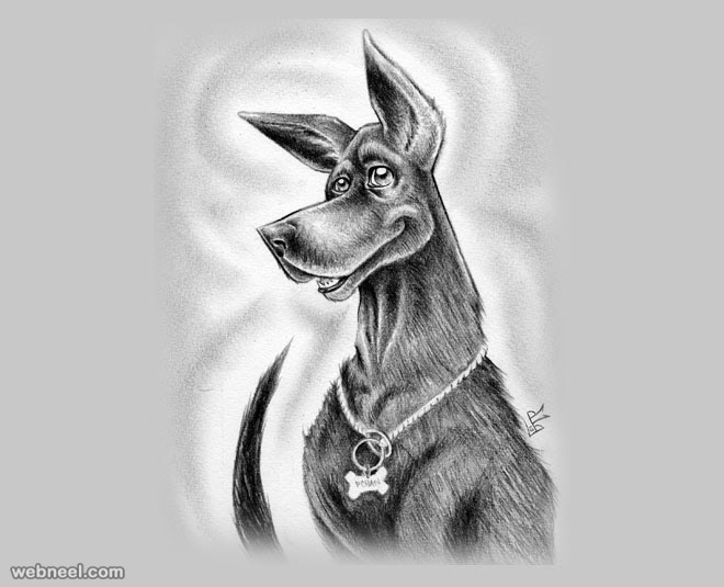 dog pencil drawing by pchan