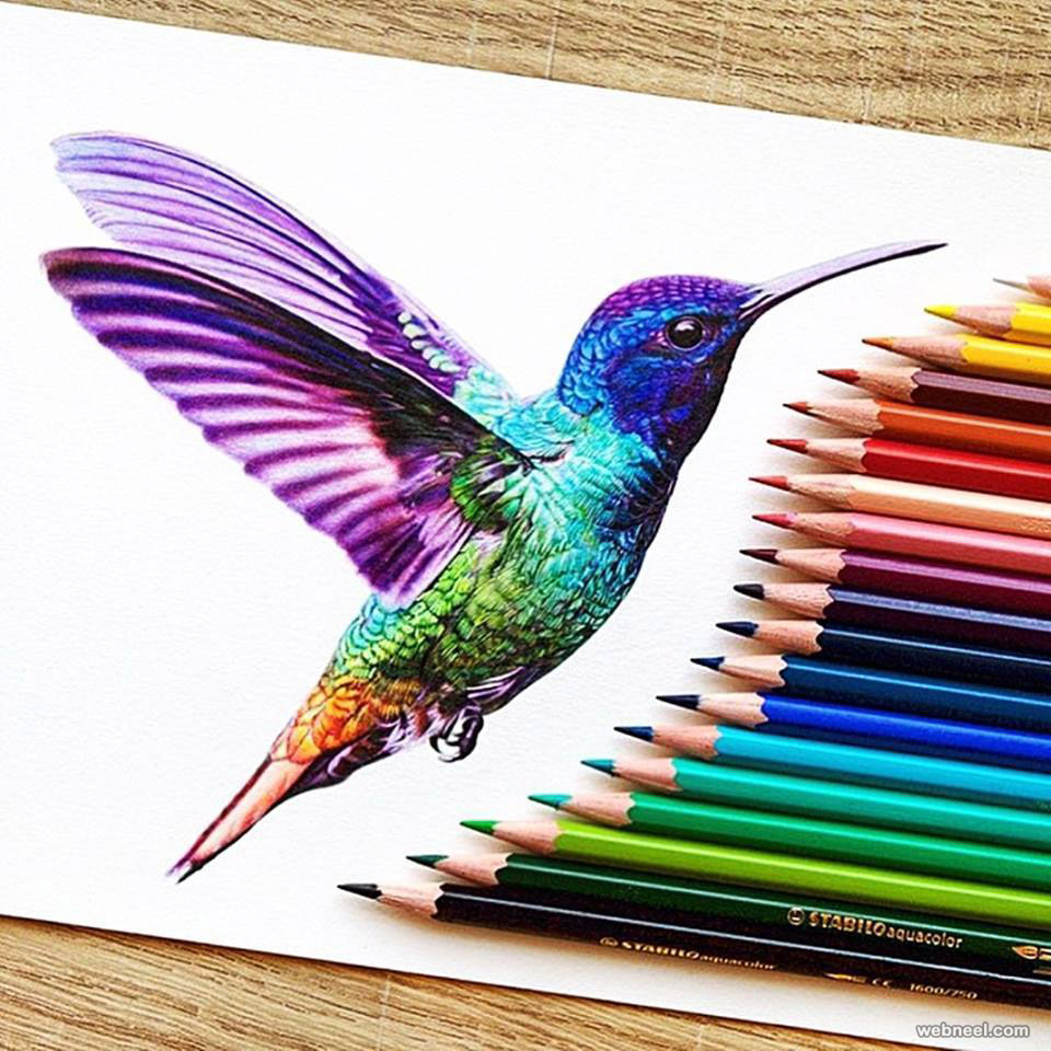 Pencil Colour Drawing Images