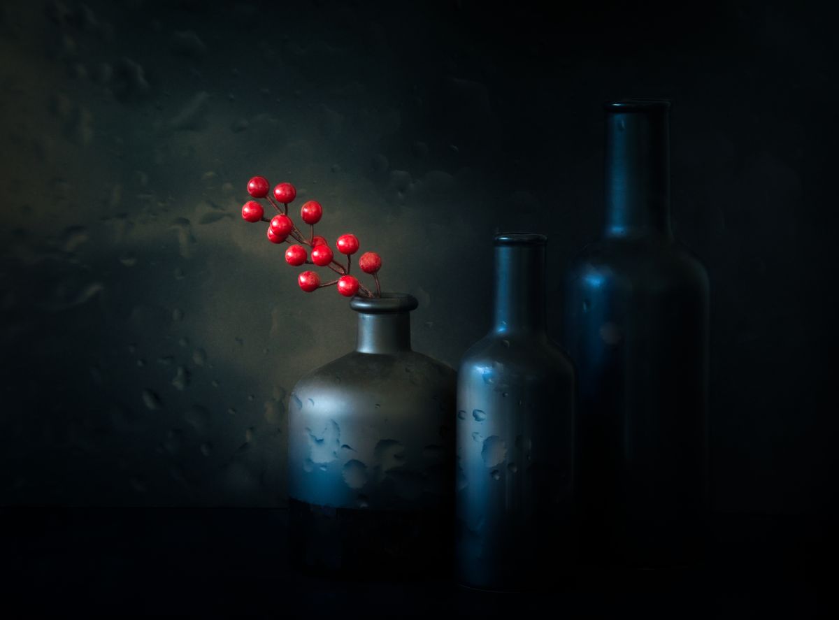 still life photography berries bottles by jacqueline hammer