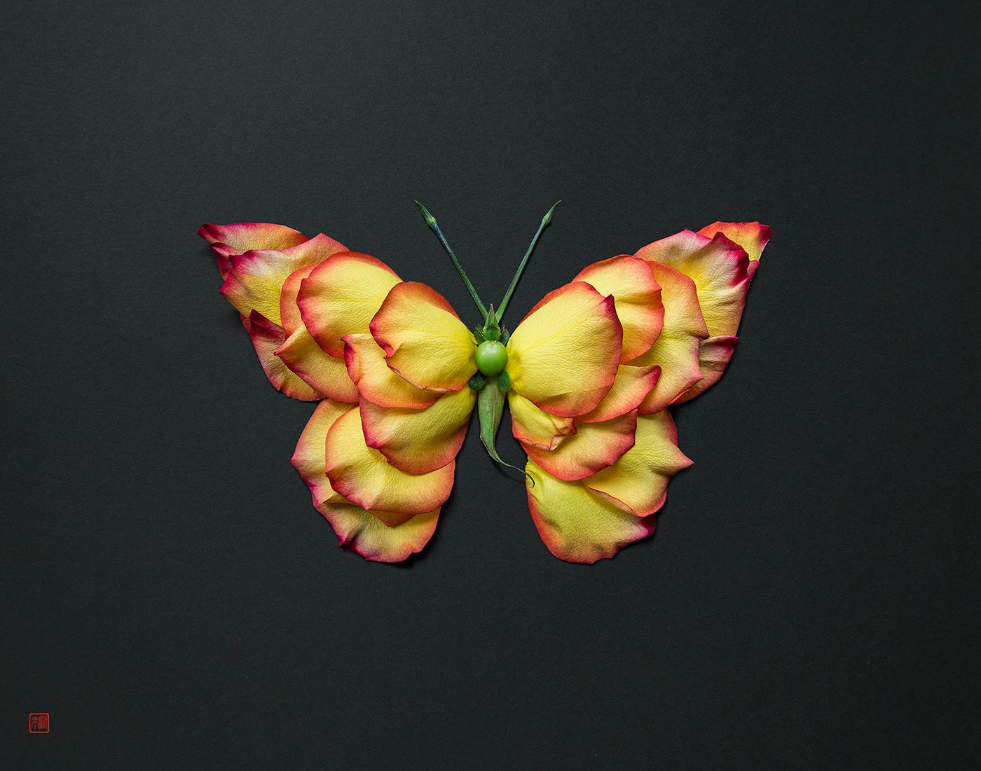 advertising ideas butterfly by raku inoue