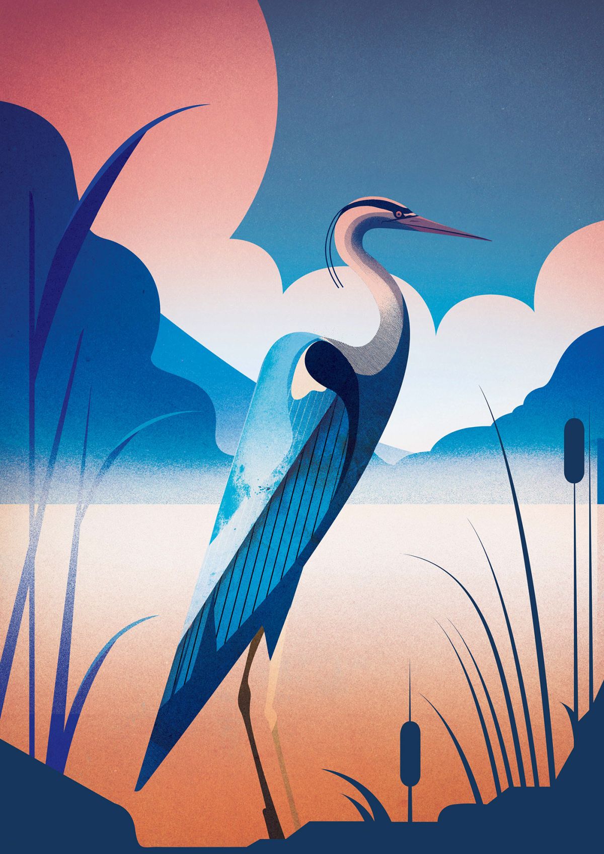 digital illustration editorial bird by charlie davis