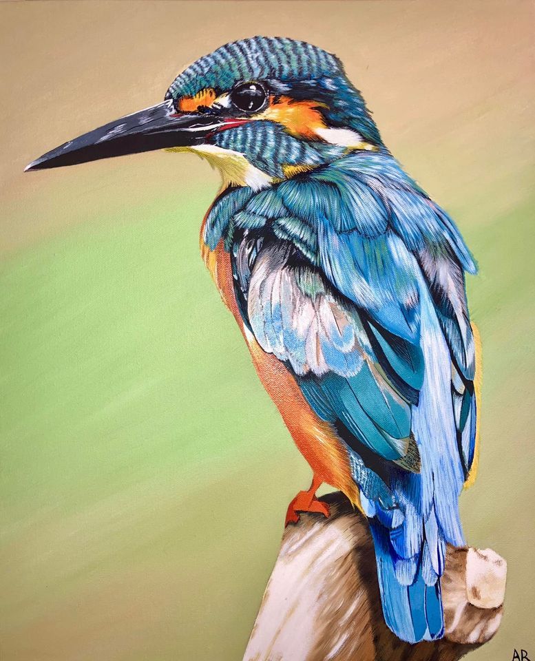 beautiful oil painting kingfisher by anna reed