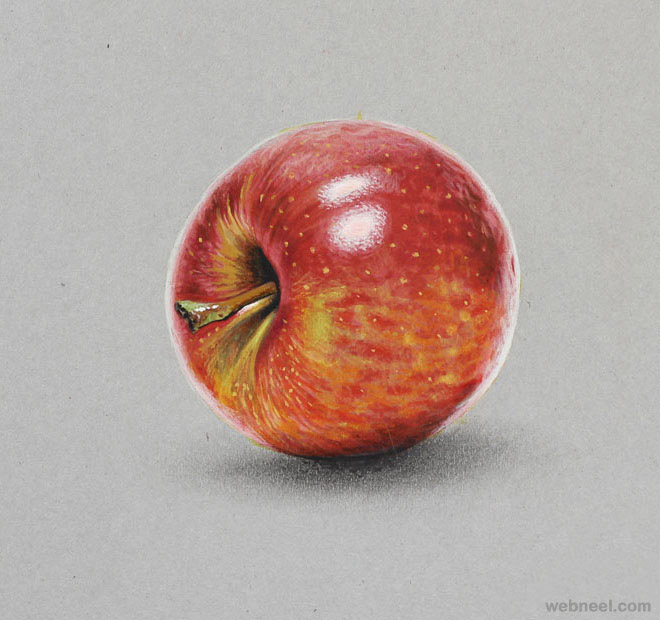 apple realistic drawing by marcello barenghi