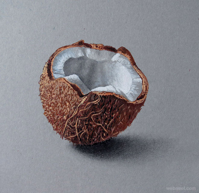 coconut realistic drawing by marcello barenghi