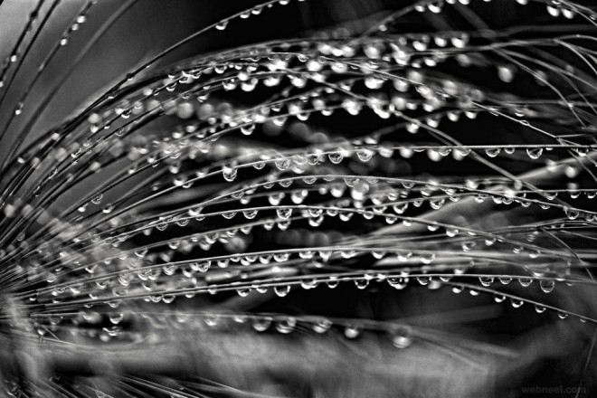 rainy day black and white photography by cris