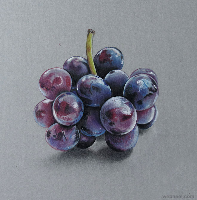 grapes realistic drawing by marcello barenghi