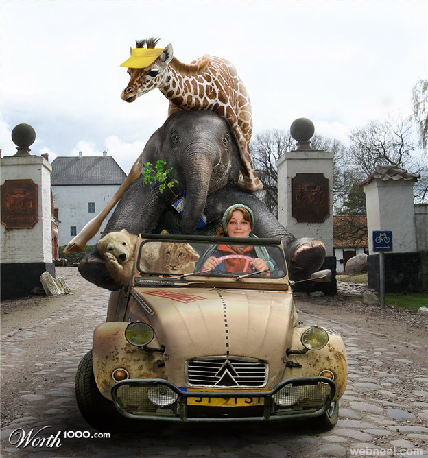 animals sitting car elephant photo manipulation