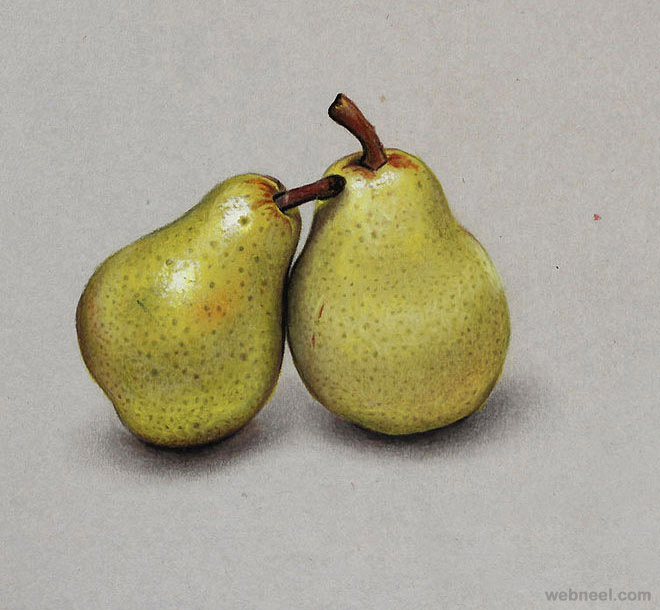 pears realistic drawing by marcello barenghi